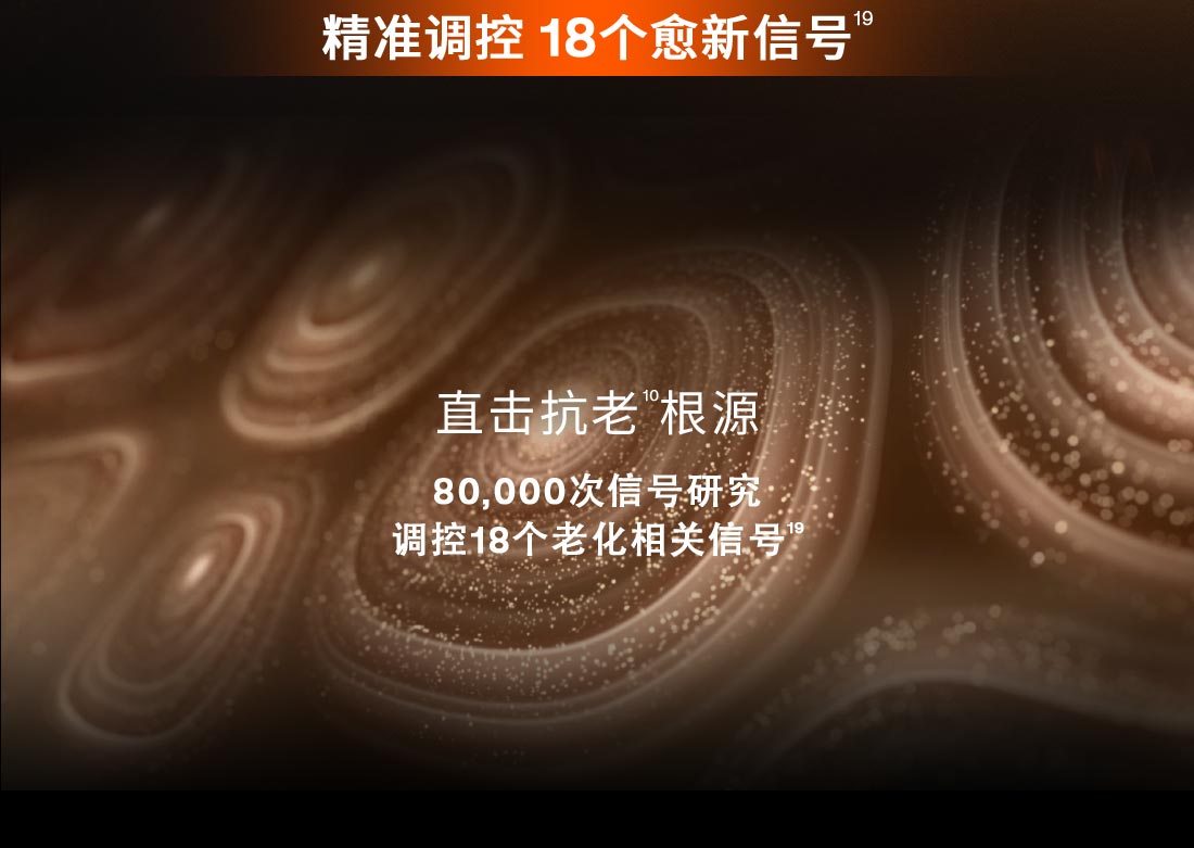 第六代 天游ty8线路测试中心人参霜